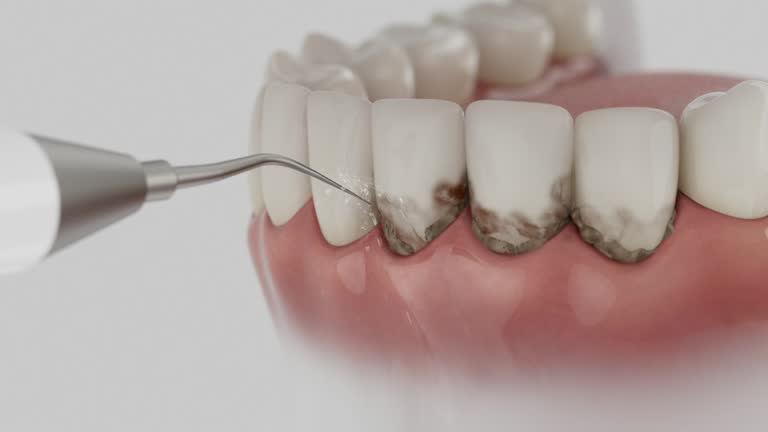 Reliable Dental contractor in Lutherville, MD by Dentist Open Now